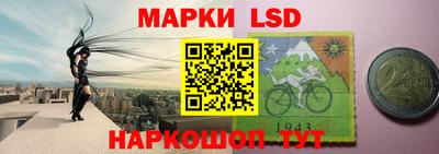 индика Усть-Илимск