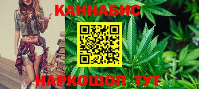 индика Усть-Илимск
