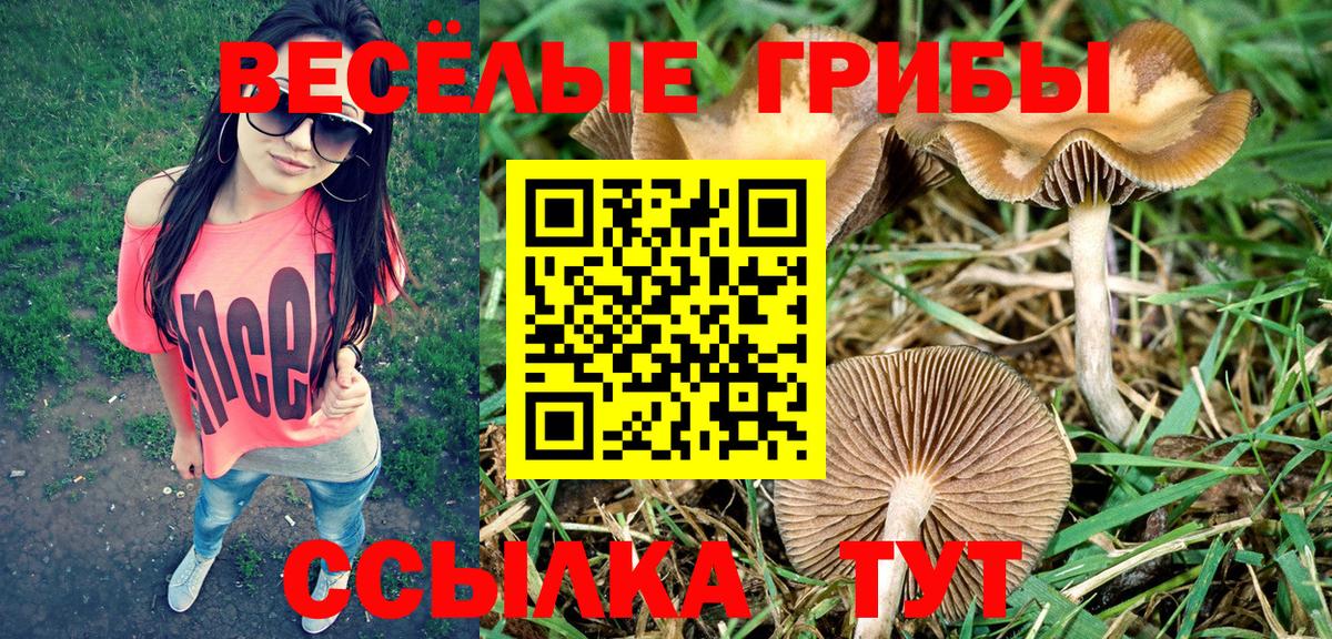 Галлюциногенные грибы MAGIC MUSHROOMS Кузнецк