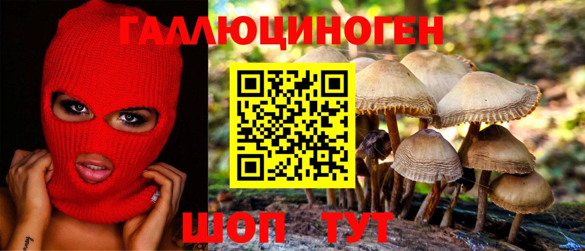 Кузнецк  Псилоцибиновые грибы Psilocybine cubensis  Вход с VPN 